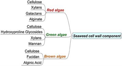 Thermogravimetric Characteristics and Non-isothermal Kinetics of Macro-Algae With an Emphasis on the Possible Partial Gasification at Higher Temperatures